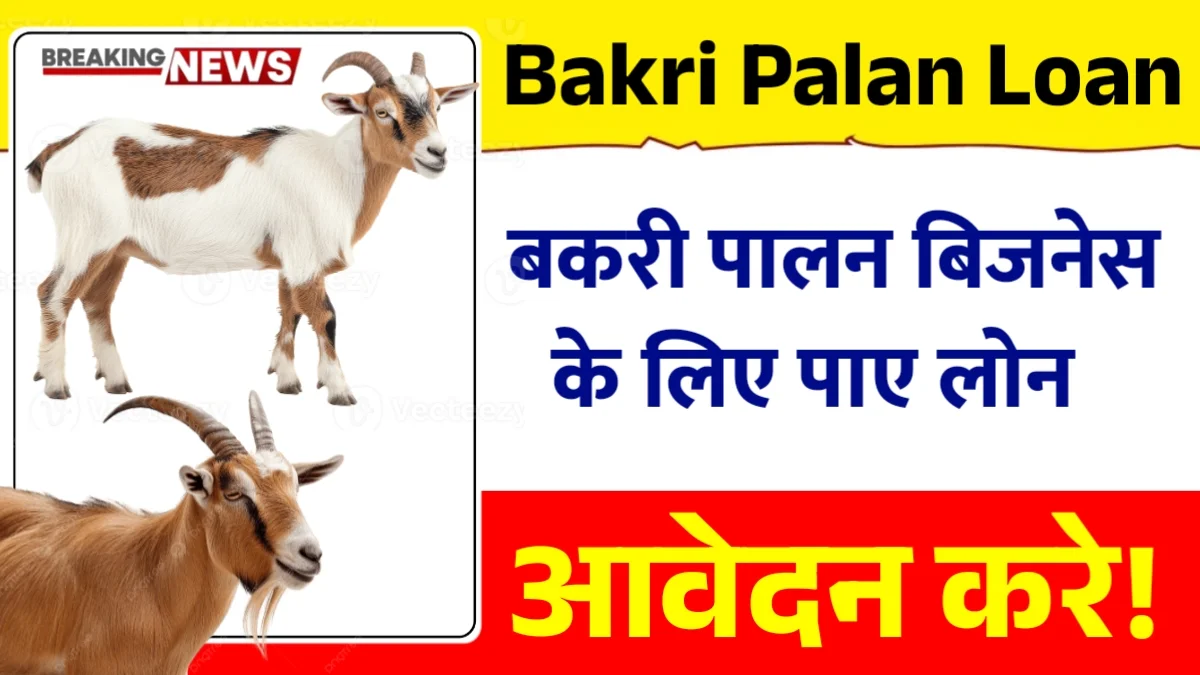 Bakri Palan Business Loan